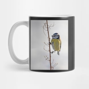 Blue Tit in winter Mug